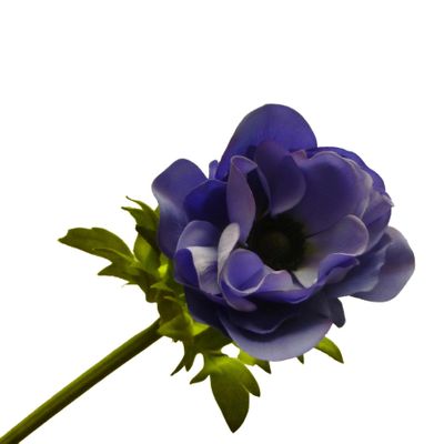 18" Anemone Lavender