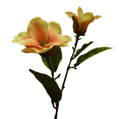58cm Magnolia Spray Pink