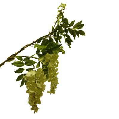 39" Wisteria Spray Cream