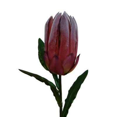 51cm Protea Spray Burgundy