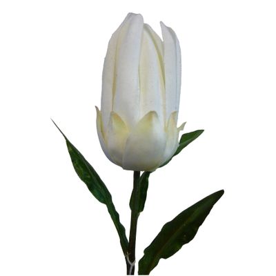 51cm Protea Spray Cream