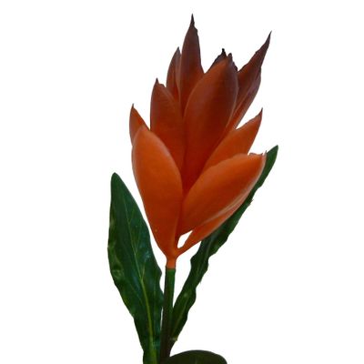 51cm Ginger Spray Red