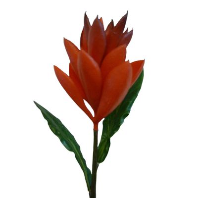 51cm Ginger Spray Burgundy