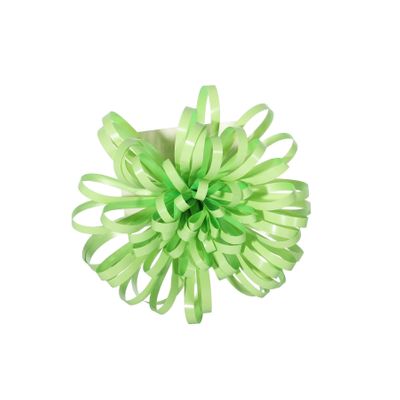 Mint Starlight Bow