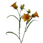 58cm Bell Flower Orange