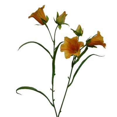 58cm Bell Flower Orange
