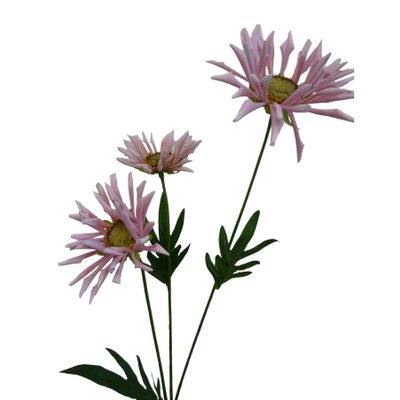 50cm Daisy x3 Pink