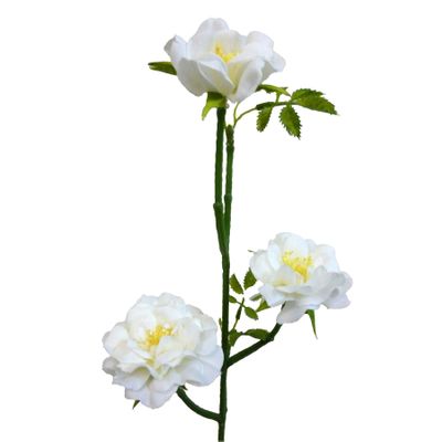 53cm Wild Rose Spray Cream