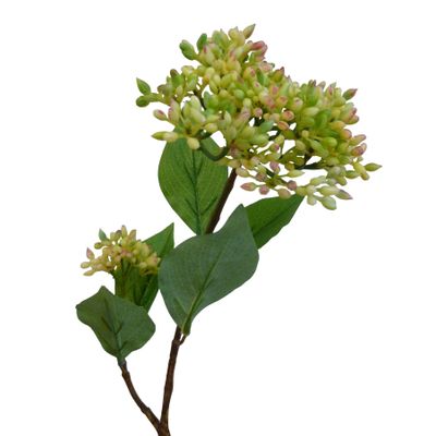 51cm Seed Spray Green