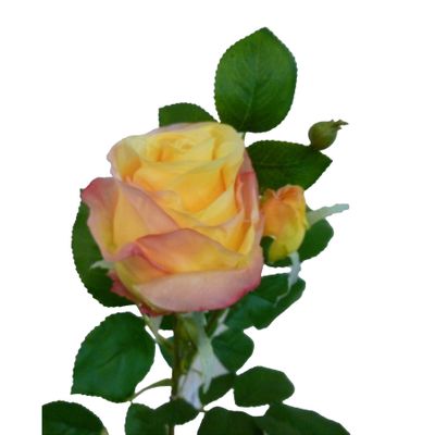 67cm Rose Spray Peach