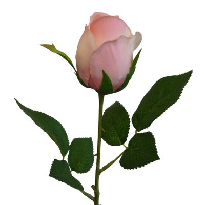 42cm Rosebud Pink