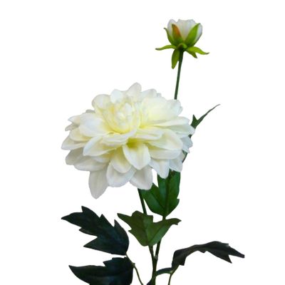 61cm Single Dahlia Cream