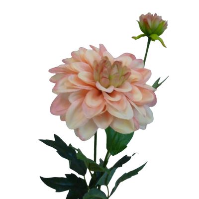 61cm Single Dahlia Pink