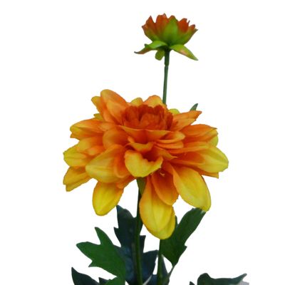 61cm Single Dahlia Orange