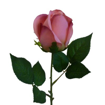 42cm Rosebud Hot Pink