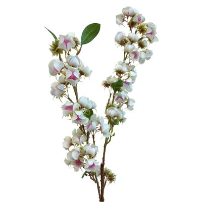88cm Blossom Cream/Pink