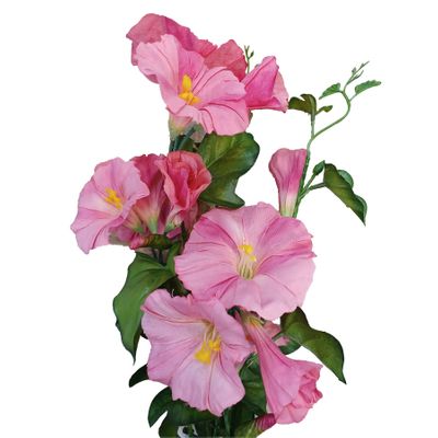 31" Morning Glory Spray Pink