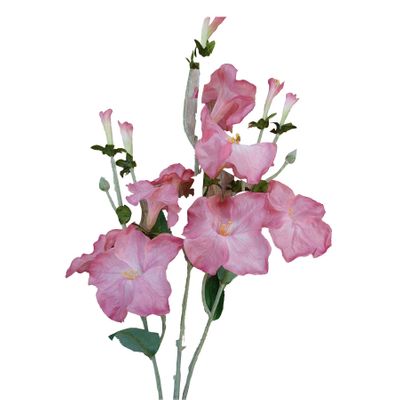 24" Morning Glory Spray Pink
