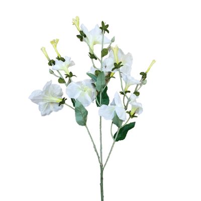 24" Morning Glory Spray Cream
