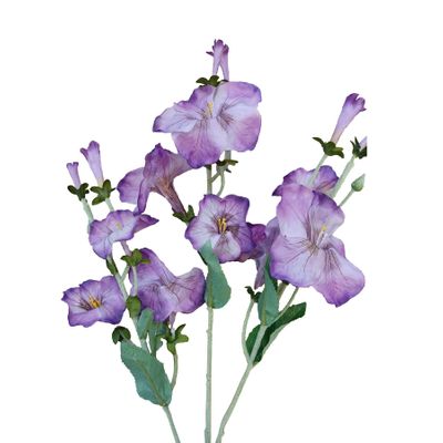 24" Morning Glory Spray Blue
