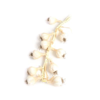 Garlic Hanging 50Cm