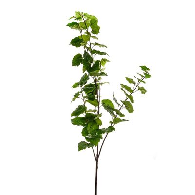 Geranium Leaf Brnch Green