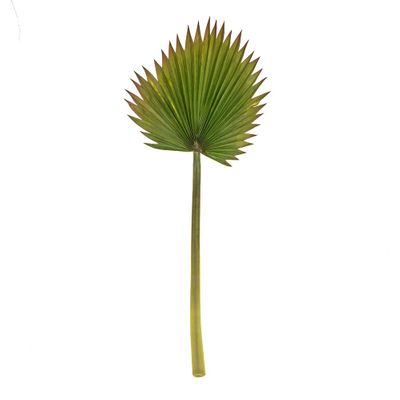 Palm Leaf Spray 94Cm