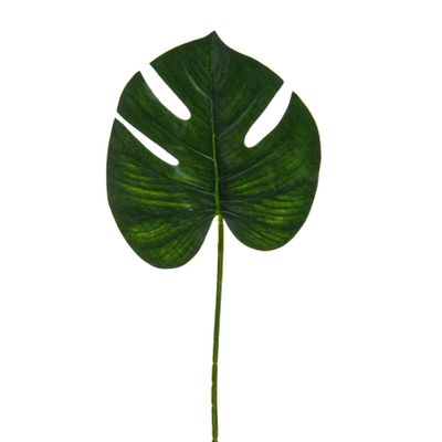 Leaf Cheeseplant X6 Stems