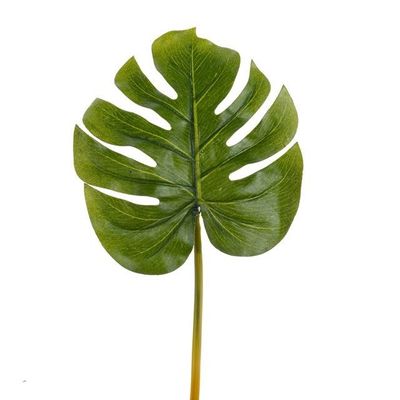 Leaf Monstera Small