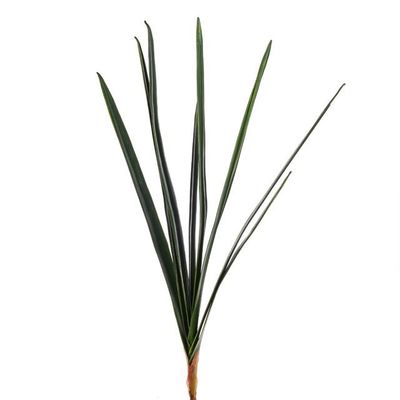 Orchid Leaves 71Cm
