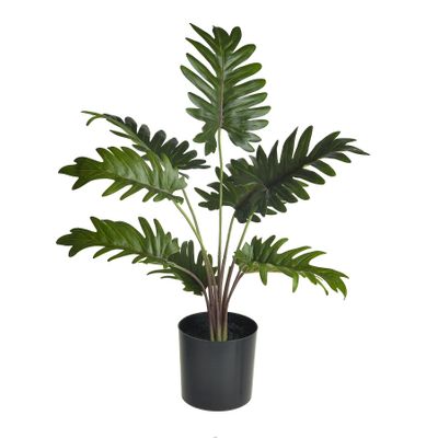 Palm Leaves In Pot 43Cm