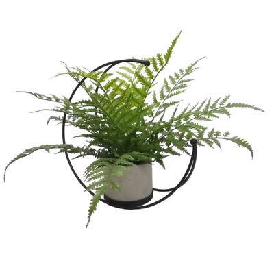 Half Moon Frame with potted Mother Fern 46x46x33cm