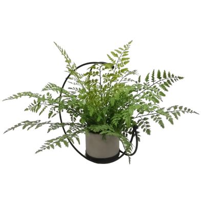 Half Moon Frame with potted Tea Tree Fern 46x46x33cm