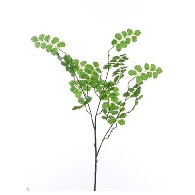 Maidenhair Fern 83Cm