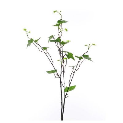Ivy Leaf Branch 91Cm