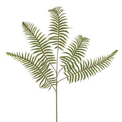 Prestige Fern Spray 74Cm