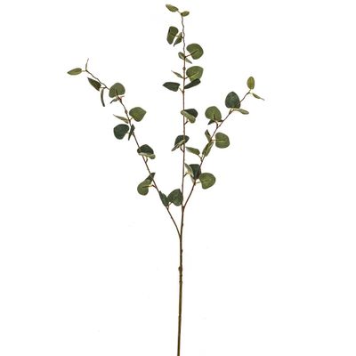Pure Eucalyptus Spray 93Cm