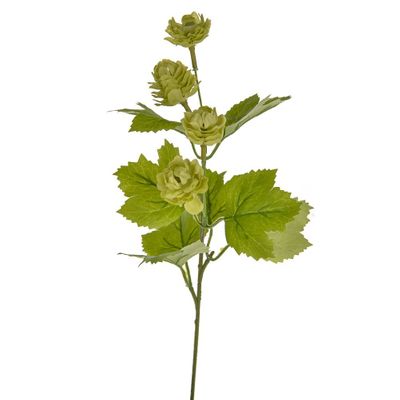Hop Pick Green 33Cm
