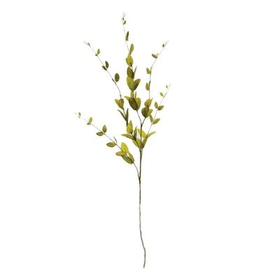 Lonicera Leaf Spray Green
