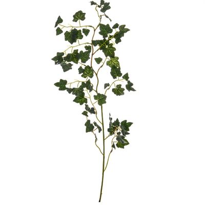 Ivy Small Leaf Dark Green Stem