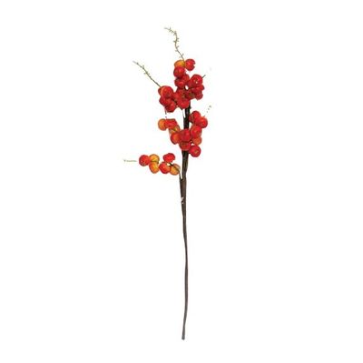 Bird Berries Orange