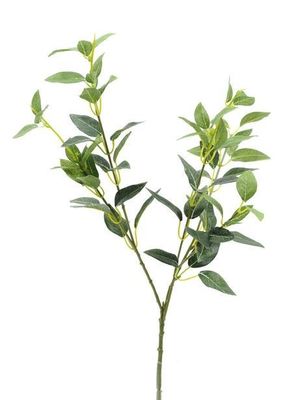 Privet Spray 69Cm