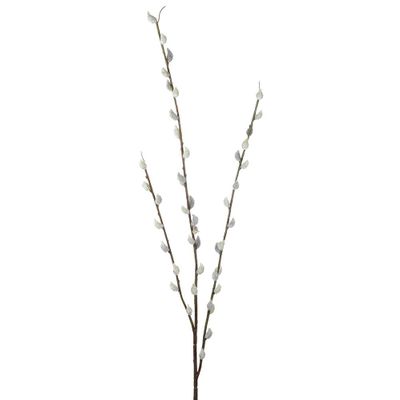 Pussy Willow Spray 100Cm