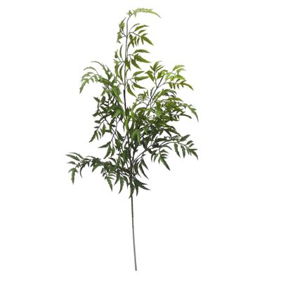 Short Stem Spray Ferns Tea Tree 30.5x15x81cm