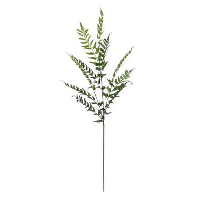 Long Stem Spray Hottentot Fern 35.5x15x106cm