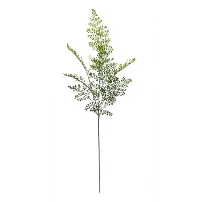 Long Stem Spray Wall Rue Fern 35.5x15x106cm