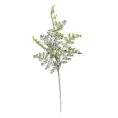 Short Stem Spray Ferns Wall Rue 30.5x15x81cm