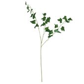 English Ivy Leaf - 80cm