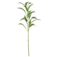 Eucalyptus Spray - 59cm