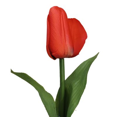 28" Tulip W/Leaves Red
